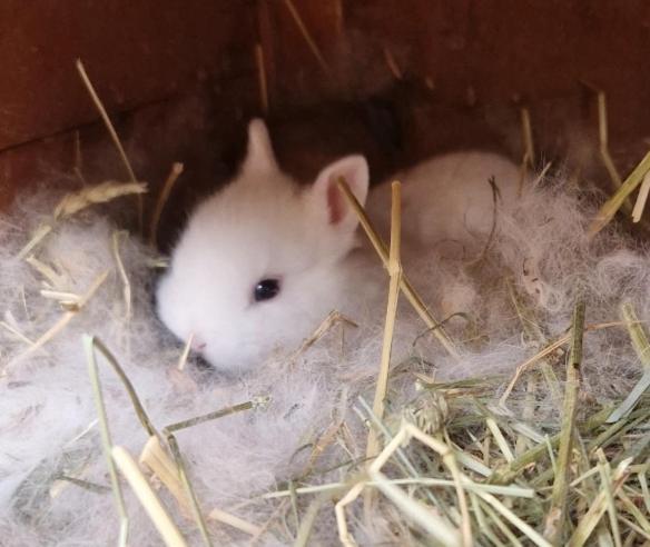 Вілла Sejour A La Ferme Jouques Екстер'єр фото