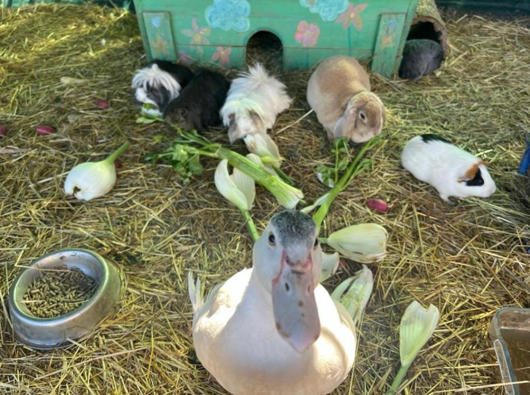 Вілла Sejour A La Ferme Jouques Екстер'єр фото