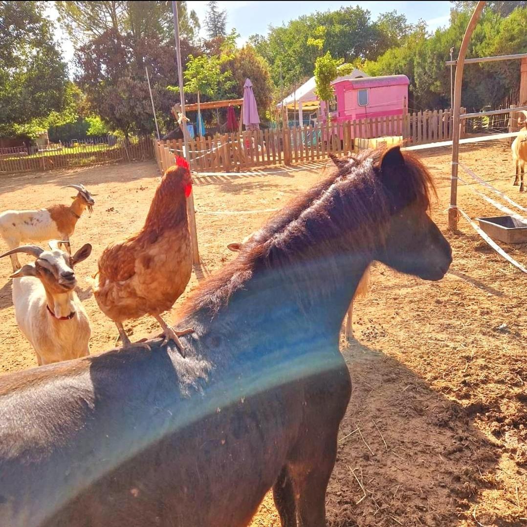Вілла Sejour A La Ferme Jouques Екстер'єр фото